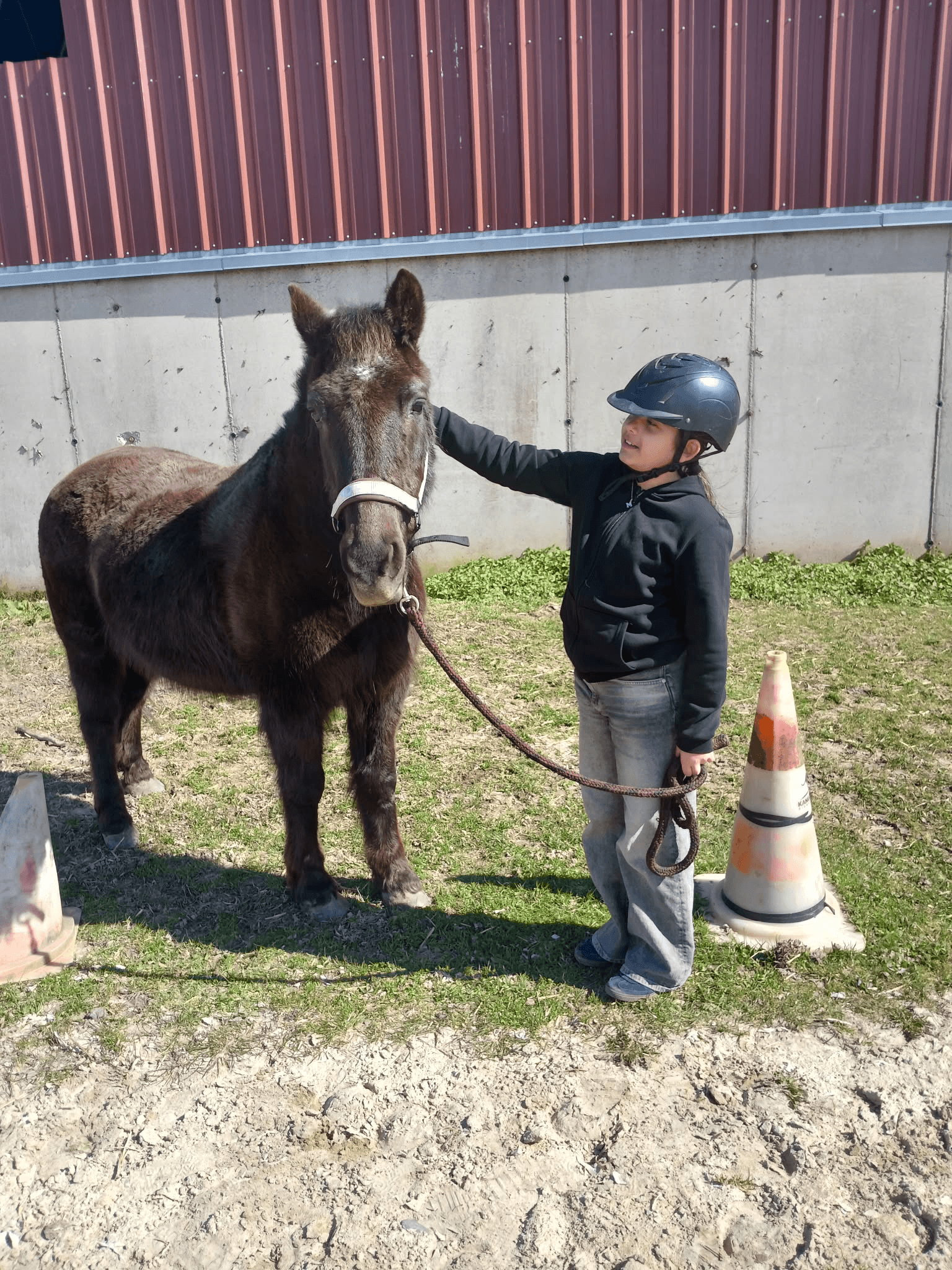Image Copy 17