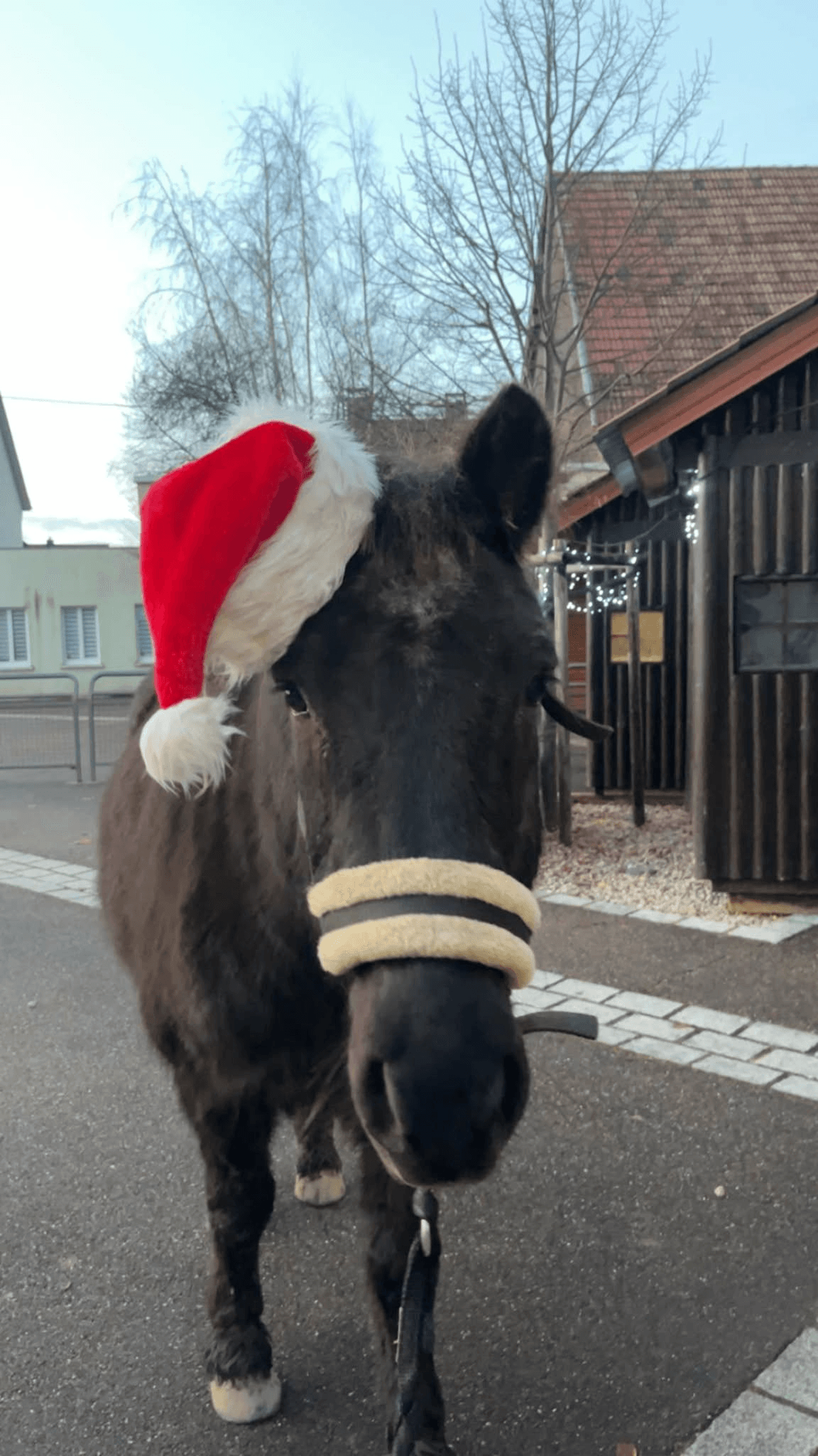 Image Santa Hourse