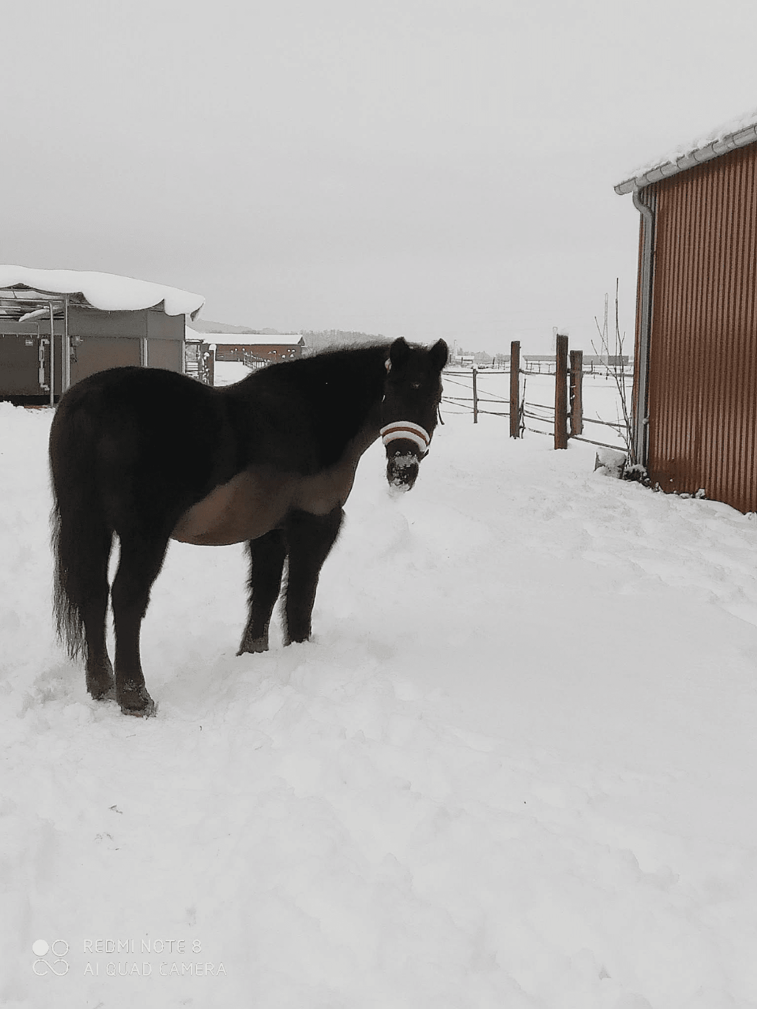 Image Snow Hourse